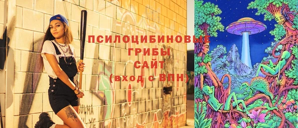 apvp Каменка