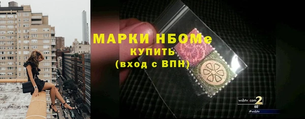 apvp Каменка