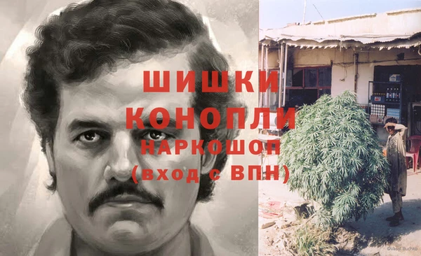 apvp Каменка