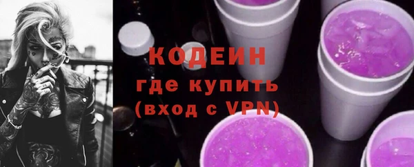 apvp Каменка