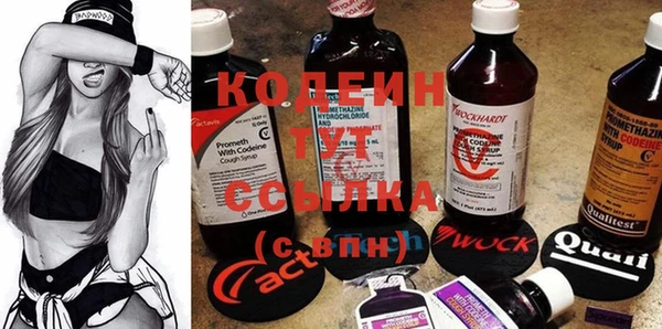 apvp Каменка