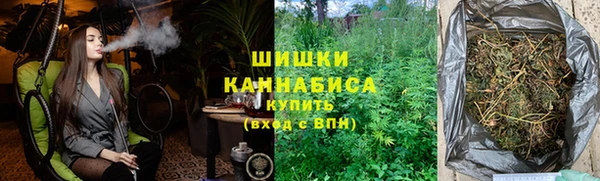 apvp Каменка