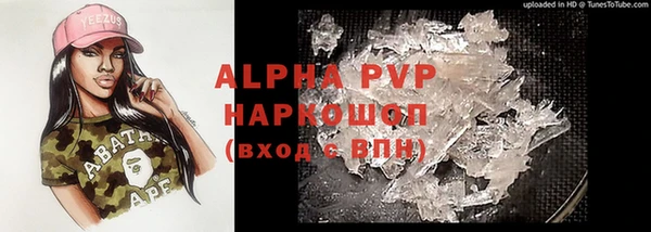 apvp Каменка